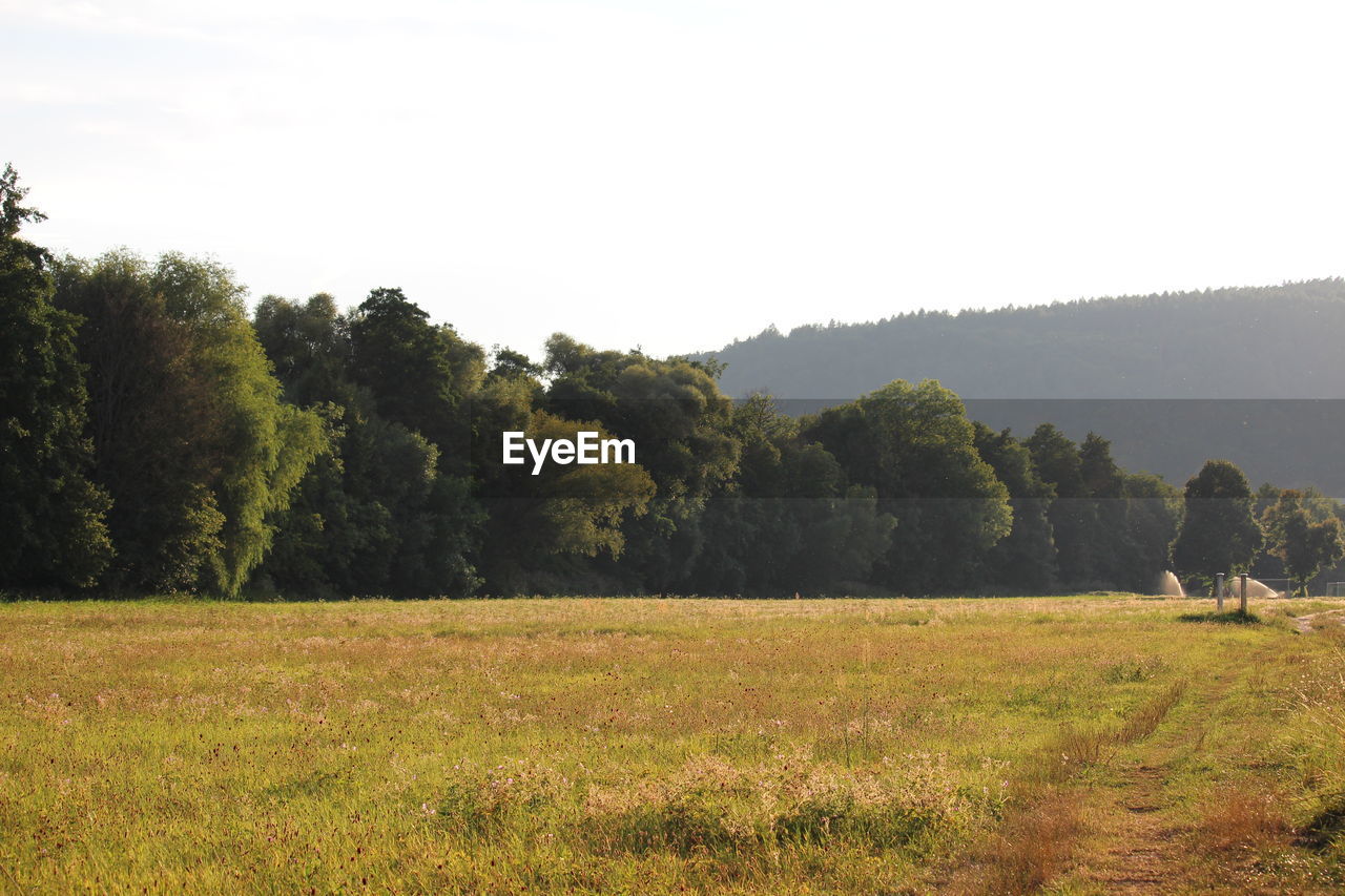 SCENIC VIEW OF LANDSCAPE AGAINST CLEAR SKY