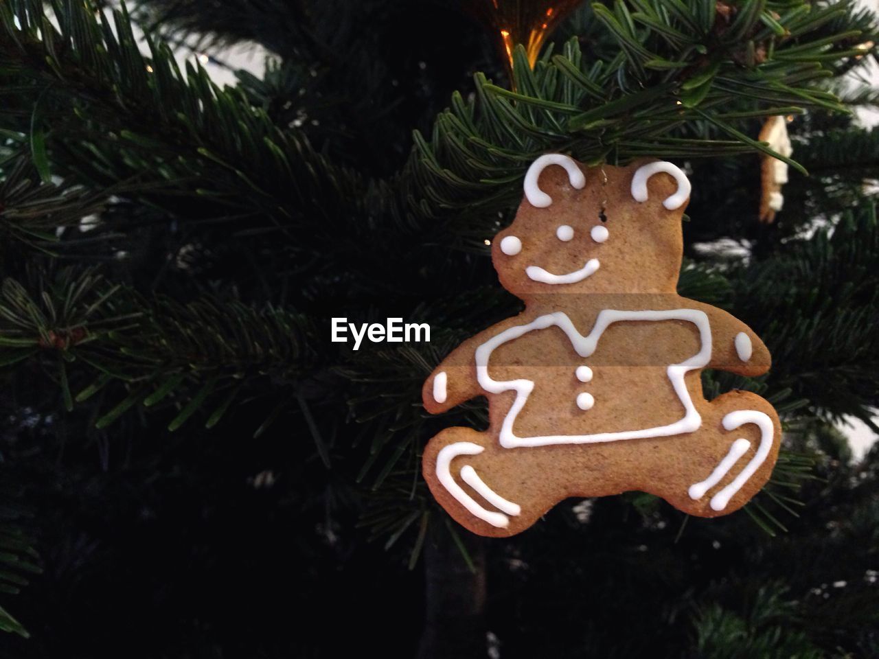 Close-up of gingerbread man on tree