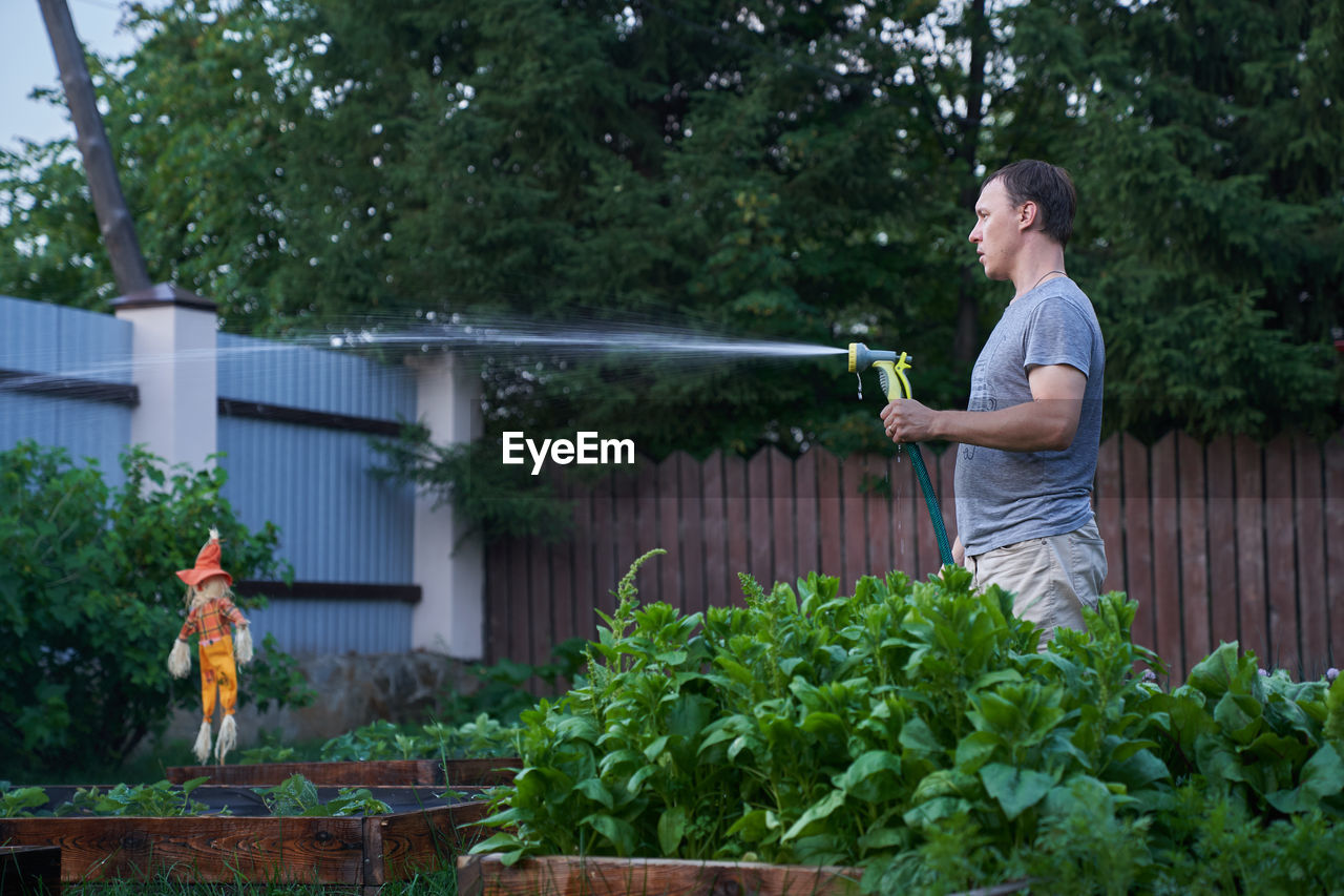 Jet spraying of water in daylight. a man is watering outdoor plants in the garden