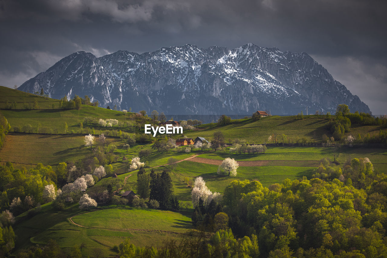 Landscape with the beauty of spring season in the mountain area.