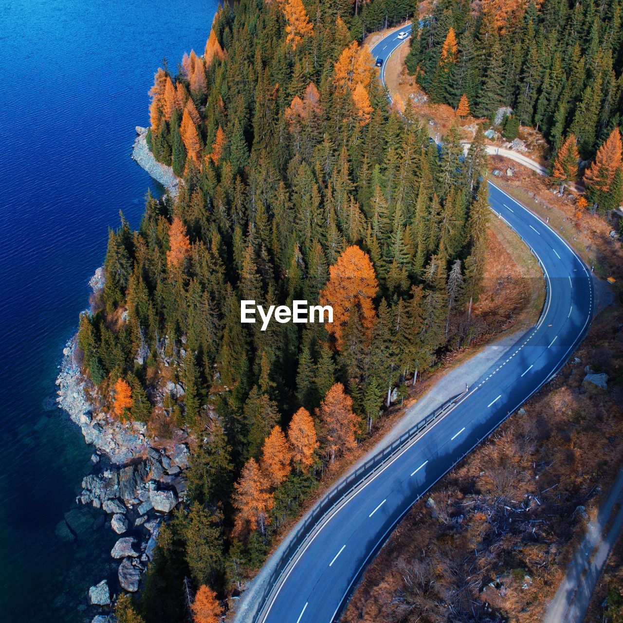 High angle view of road amidst trees in forest