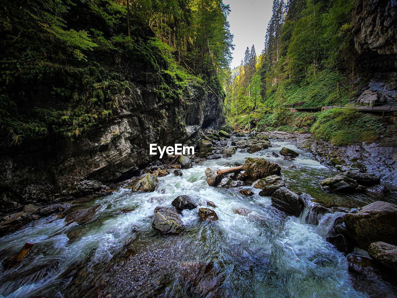 Stream flowing through rocks in forest