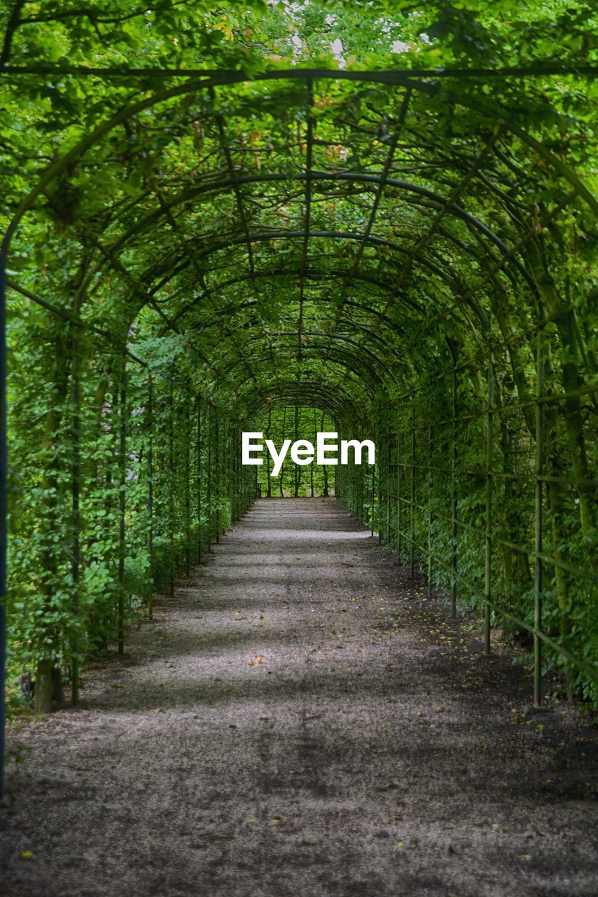 Plant covered archway at park