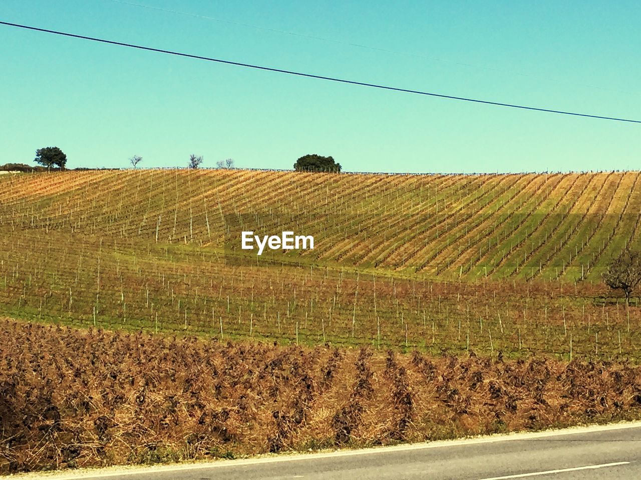 Scenic view of farm against sky