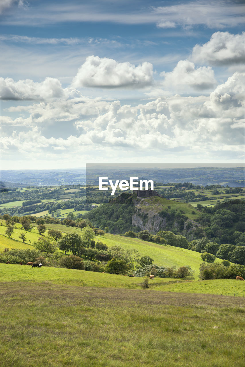 SCENIC VIEW OF TREES ON FIELD AGAINST SKY