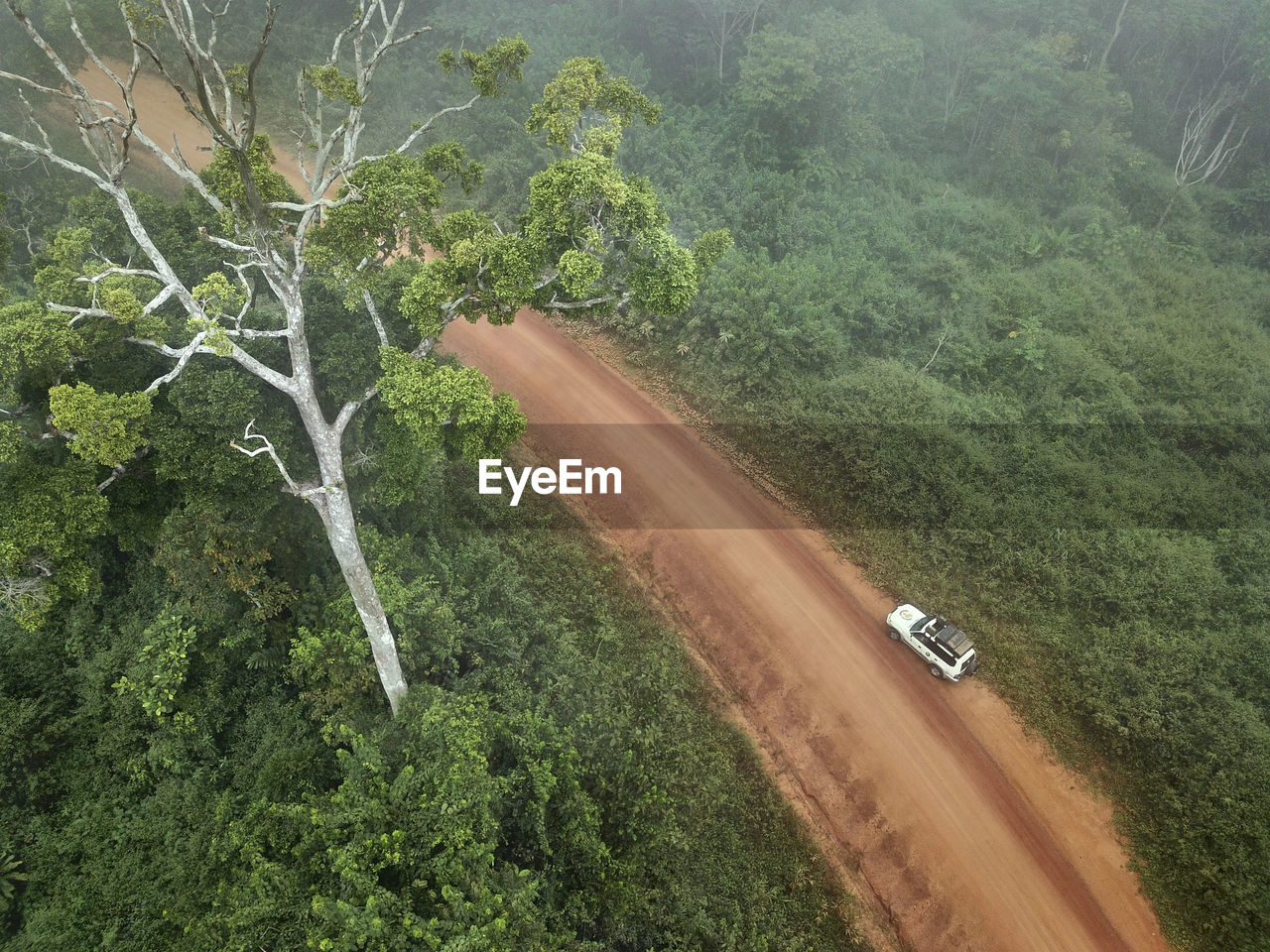 Gabon, mikongo, aerial view of 4x4 car parked on dirt road in middle of jungle