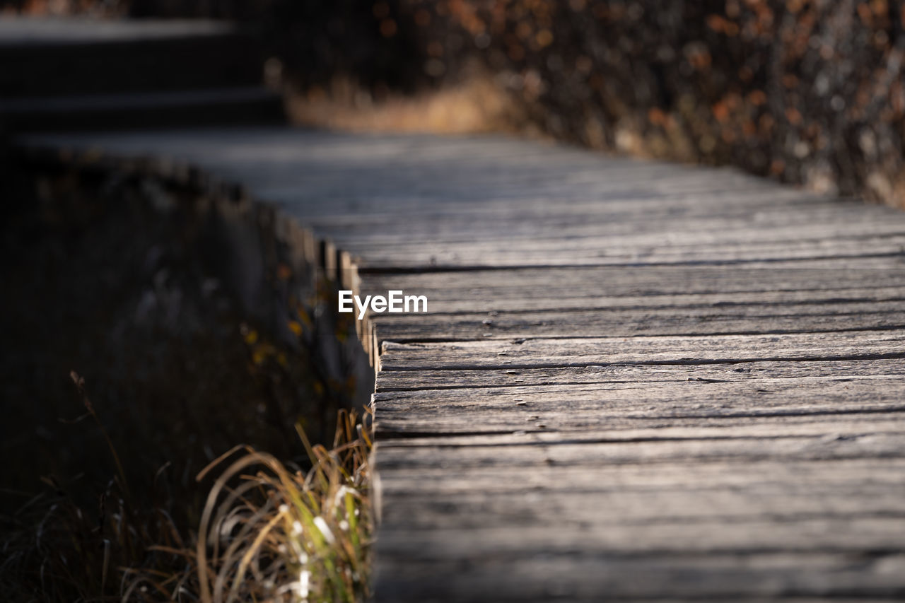 Close-up of boardwalk