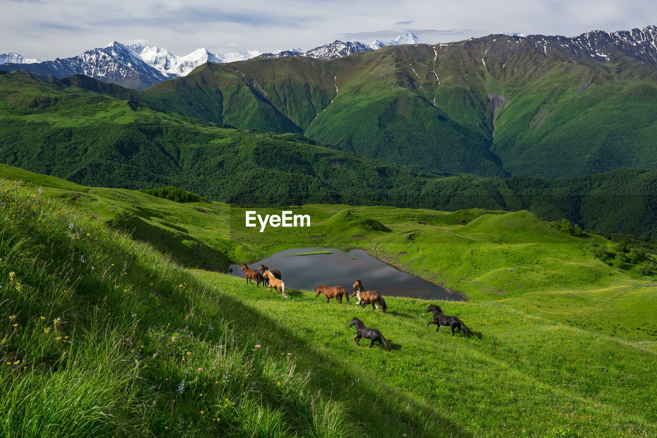 Lake in the mountains of chechnya. the mountains and the lake in the mountains are visible.