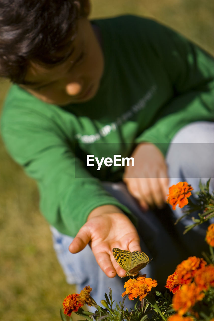 Boy looking at butterfly pollinating on orange flowers