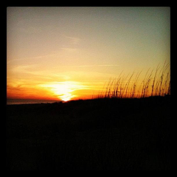 SILHOUETTE OF LANDSCAPE AT SUNSET