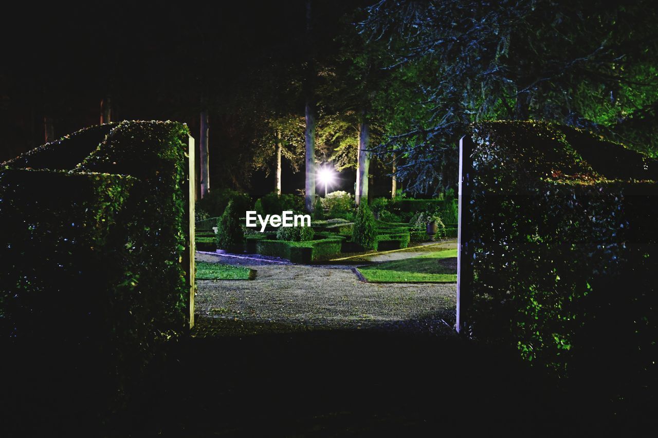 ILLUMINATED STREET LIGHT IN PARK