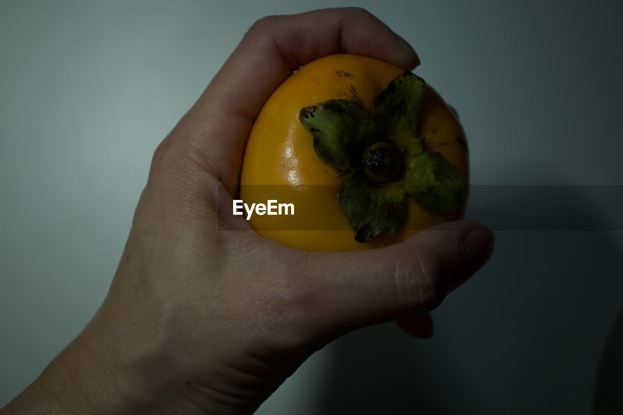 CLOSE-UP OF PERSON HAND HOLDING FRUIT