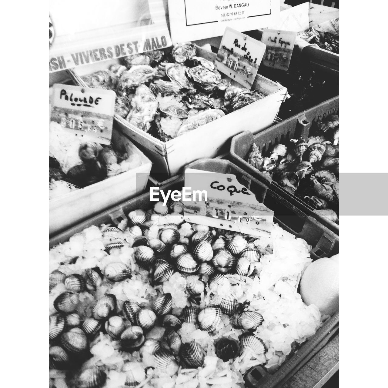 High angle view of sea food for sale in fish market