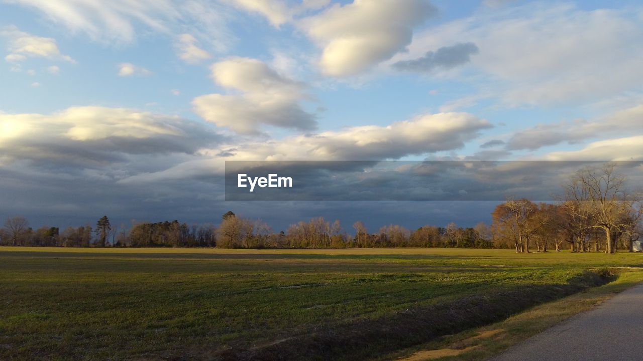 VIEW OF FIELD AGAINST SKY