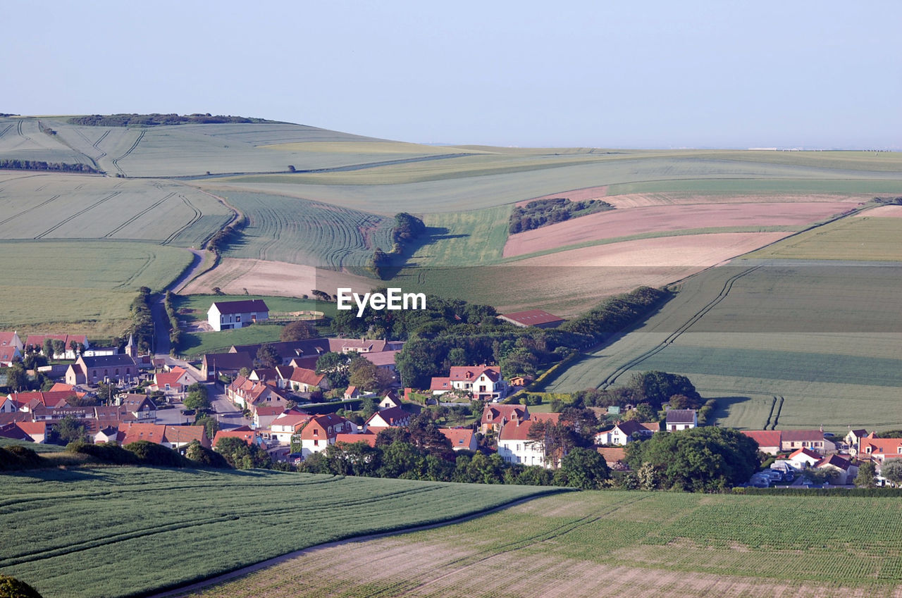 Scenic view of agricultural field against clear sky