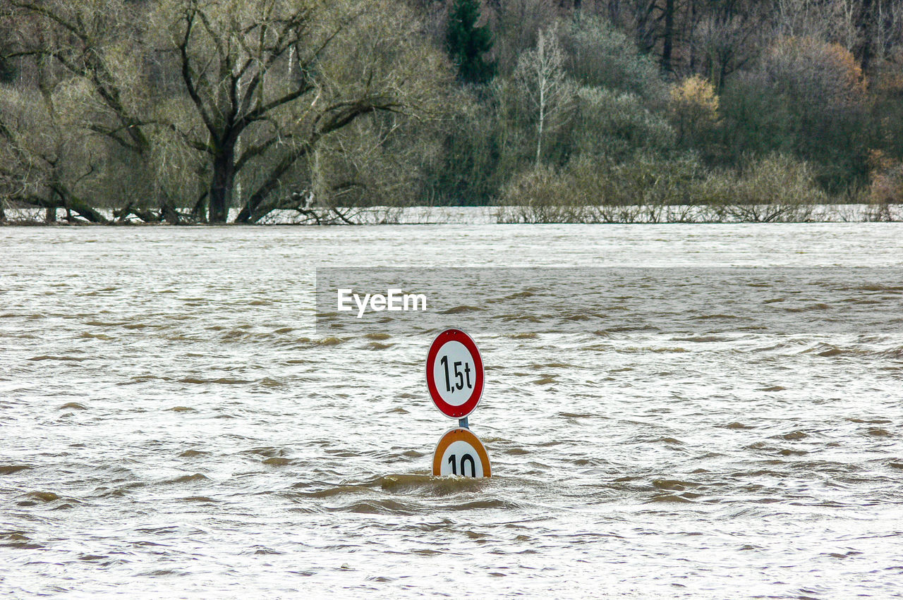 Trees on beach during high water