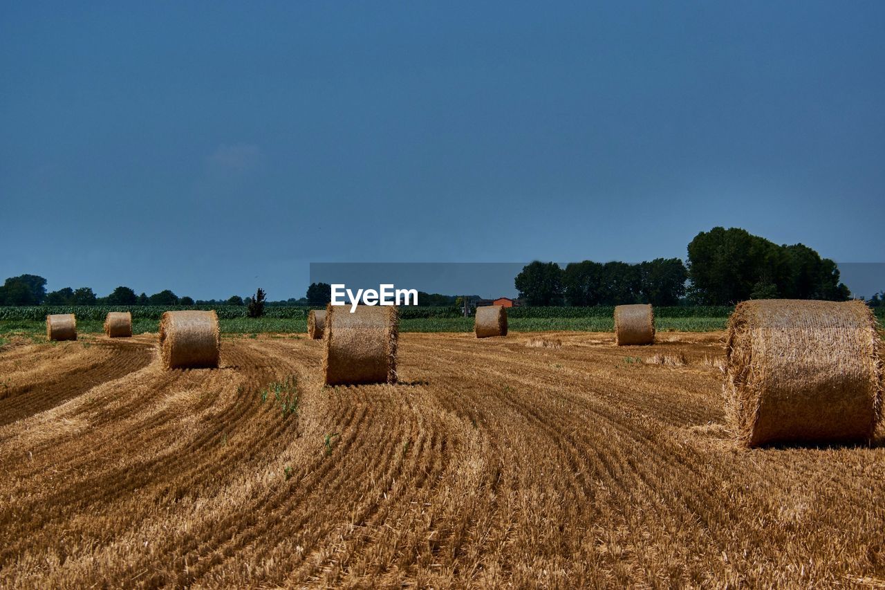 Hay bales on field against sky