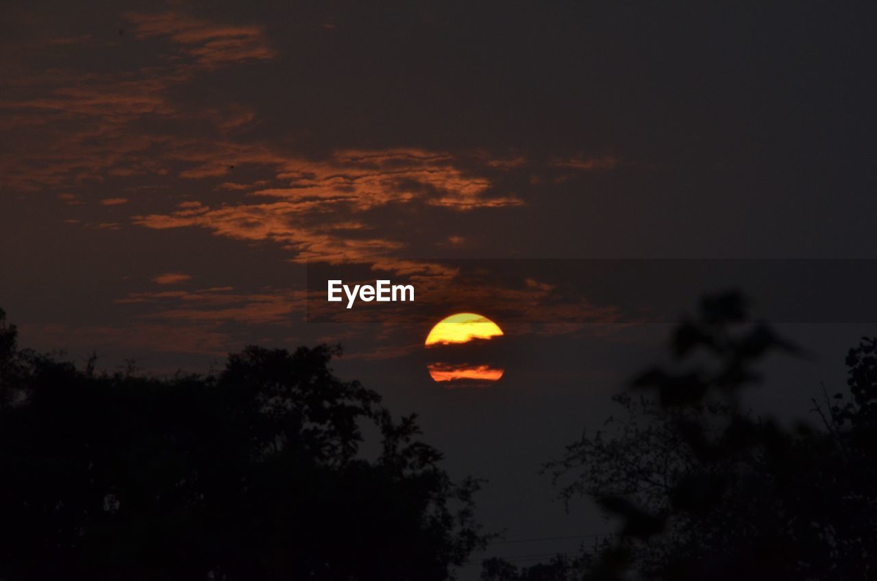 LOW ANGLE VIEW OF SILHOUETTE TREES AGAINST SKY DURING SUNSET