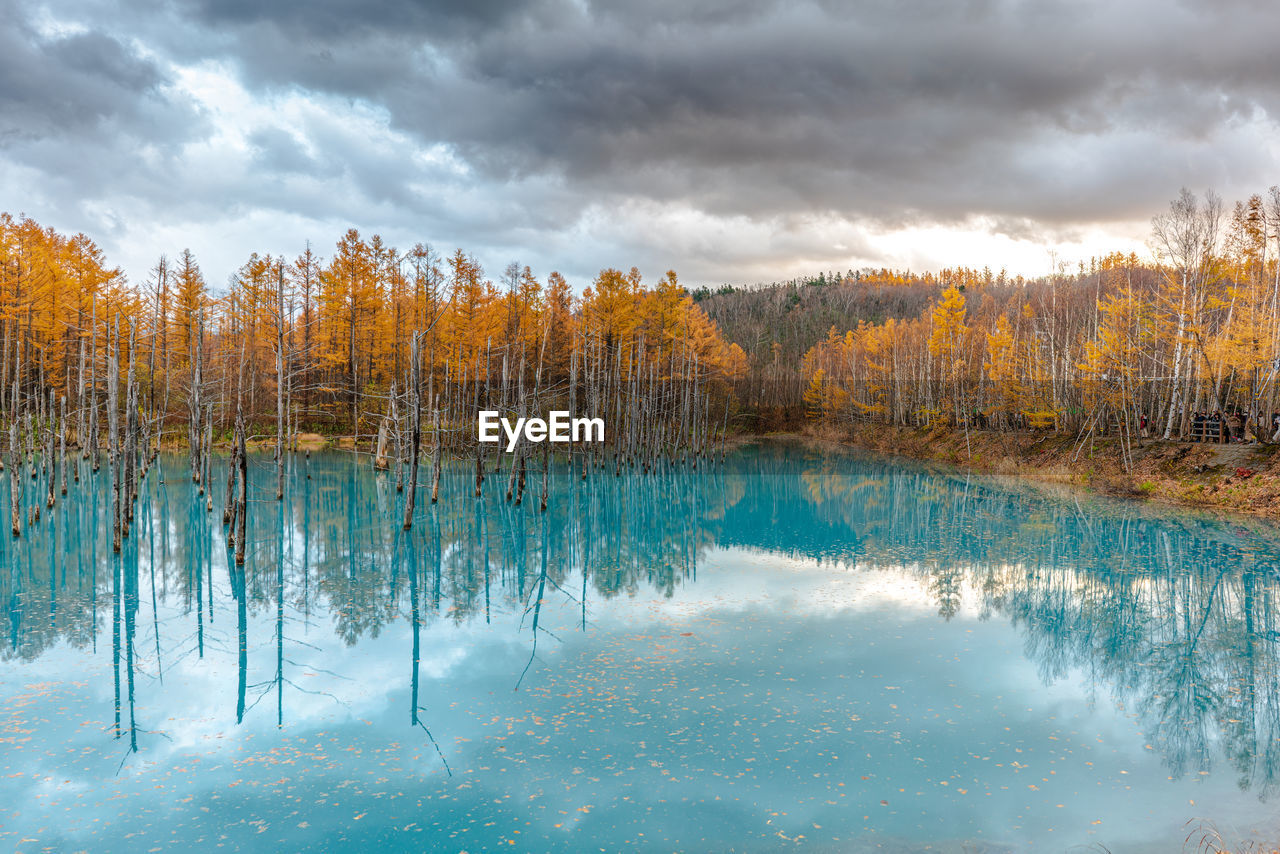 Scenic view of lake by trees against sky