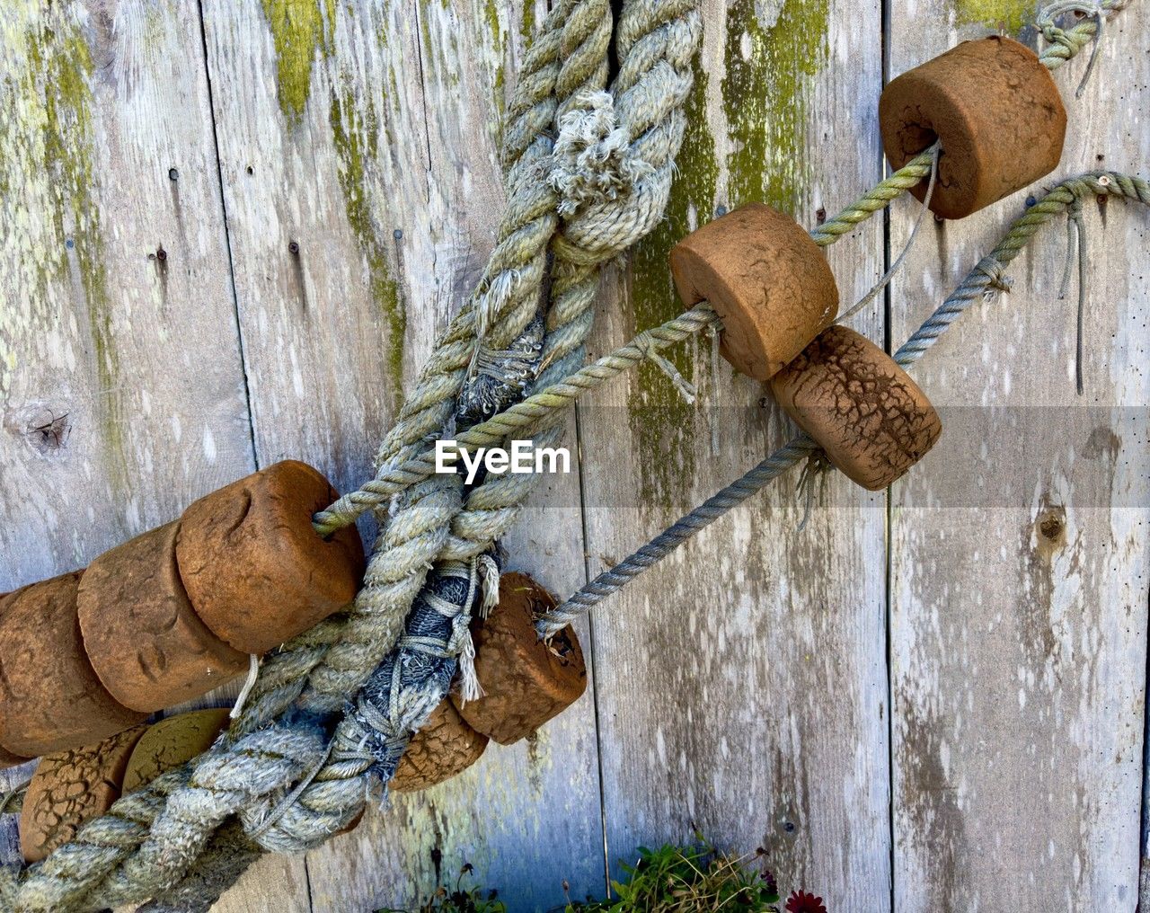 wood, rope, no people, day, tree, plant, nature, branch, outdoors, hanging, tree trunk, close-up, trunk