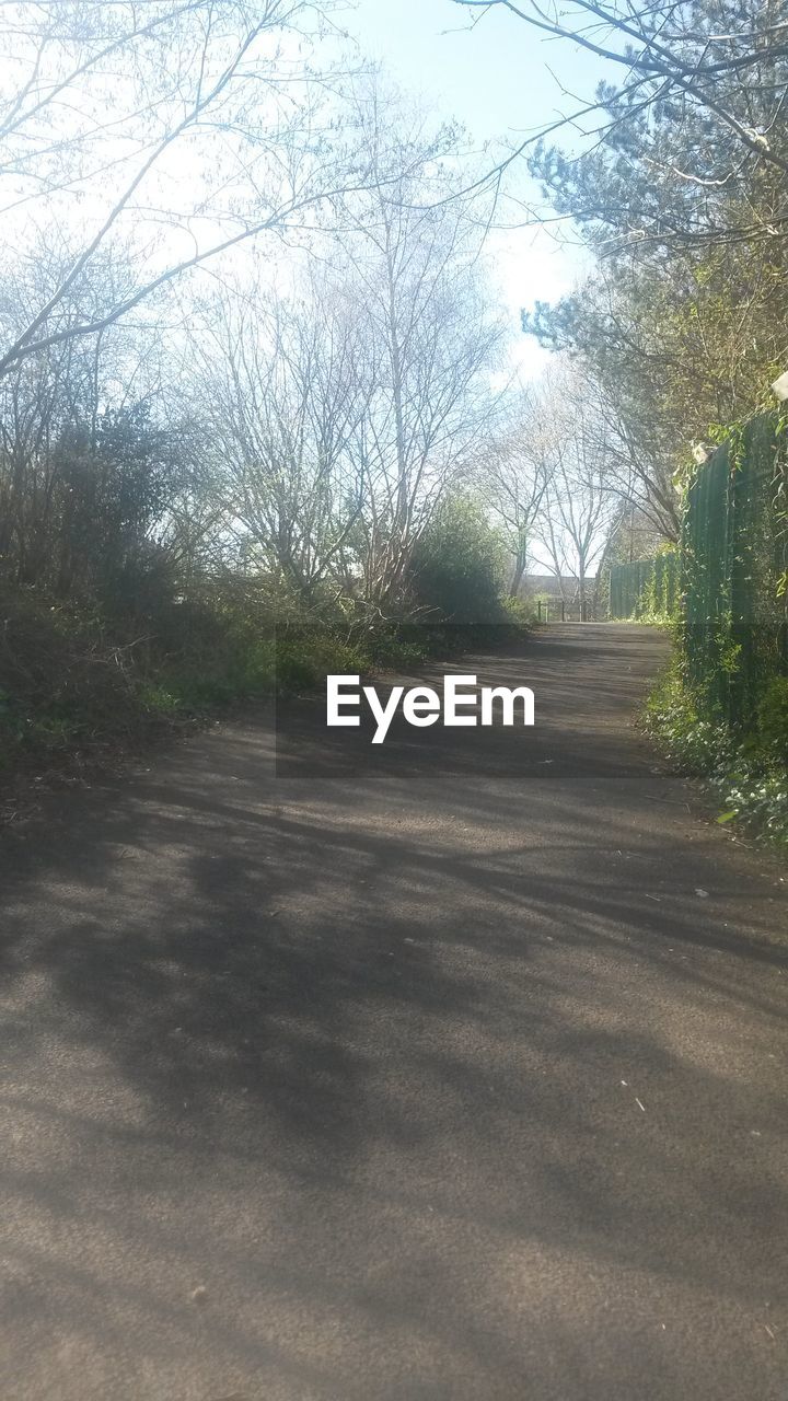 ROAD PASSING THROUGH LANDSCAPE