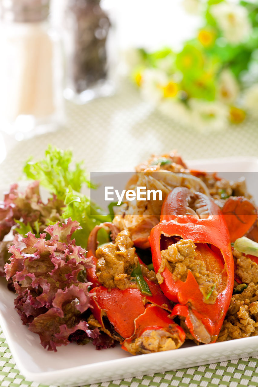 CLOSE-UP OF FRESH MEAL SERVED IN PLATE