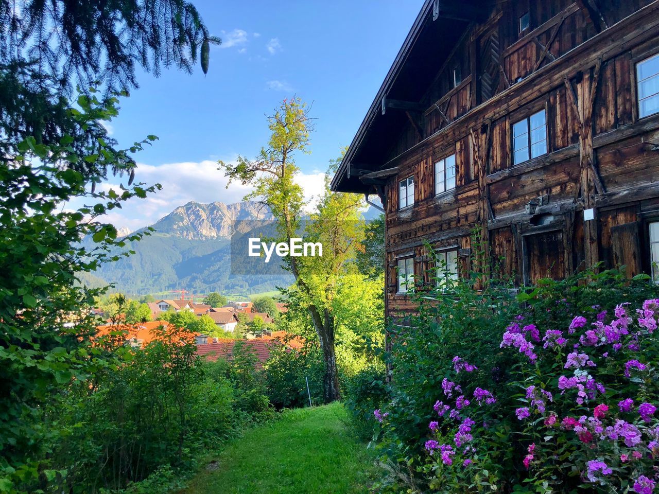 Flowering plants and trees by building against sky