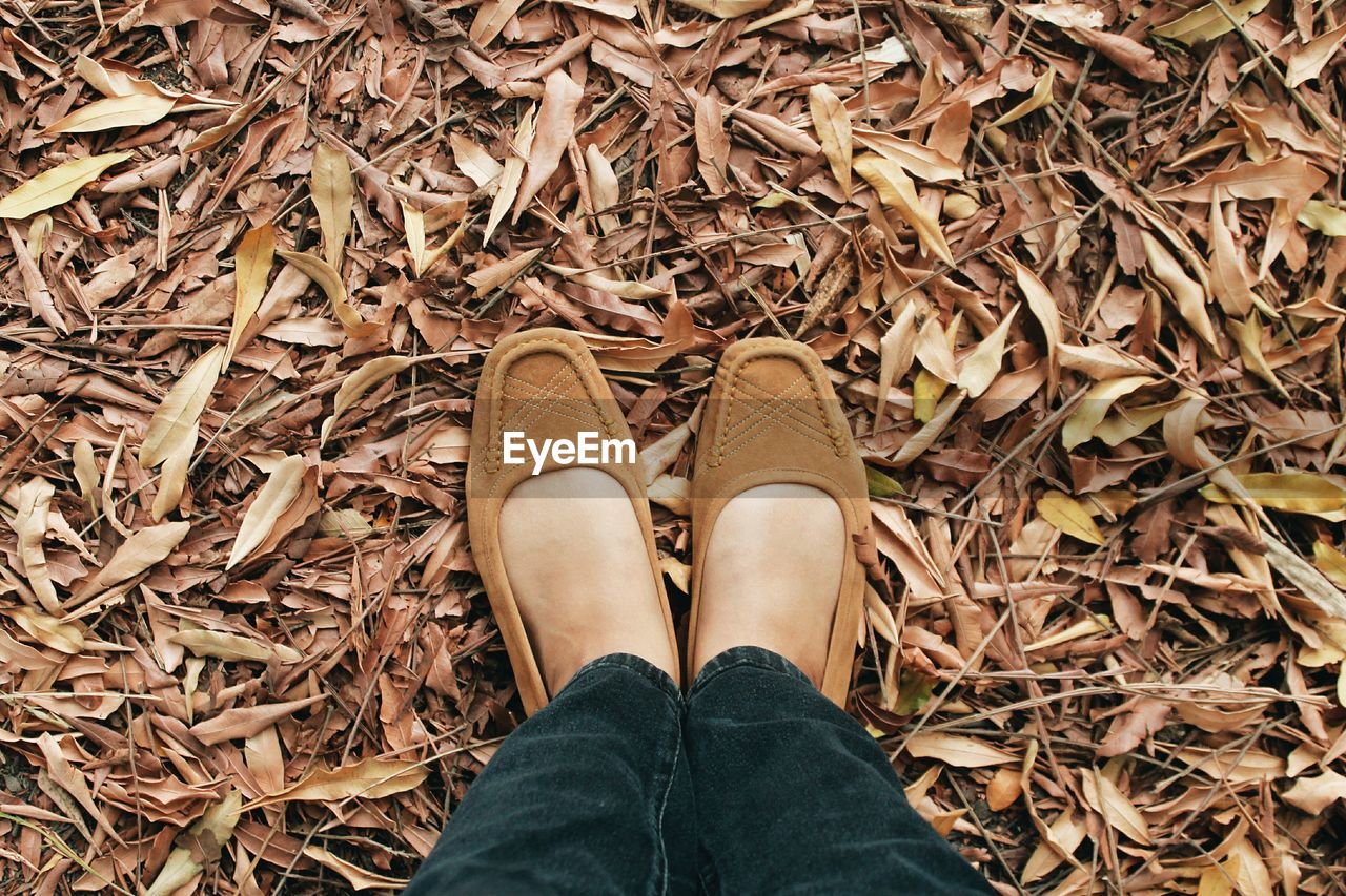 Low section of woman standing on dry leaves during autumn