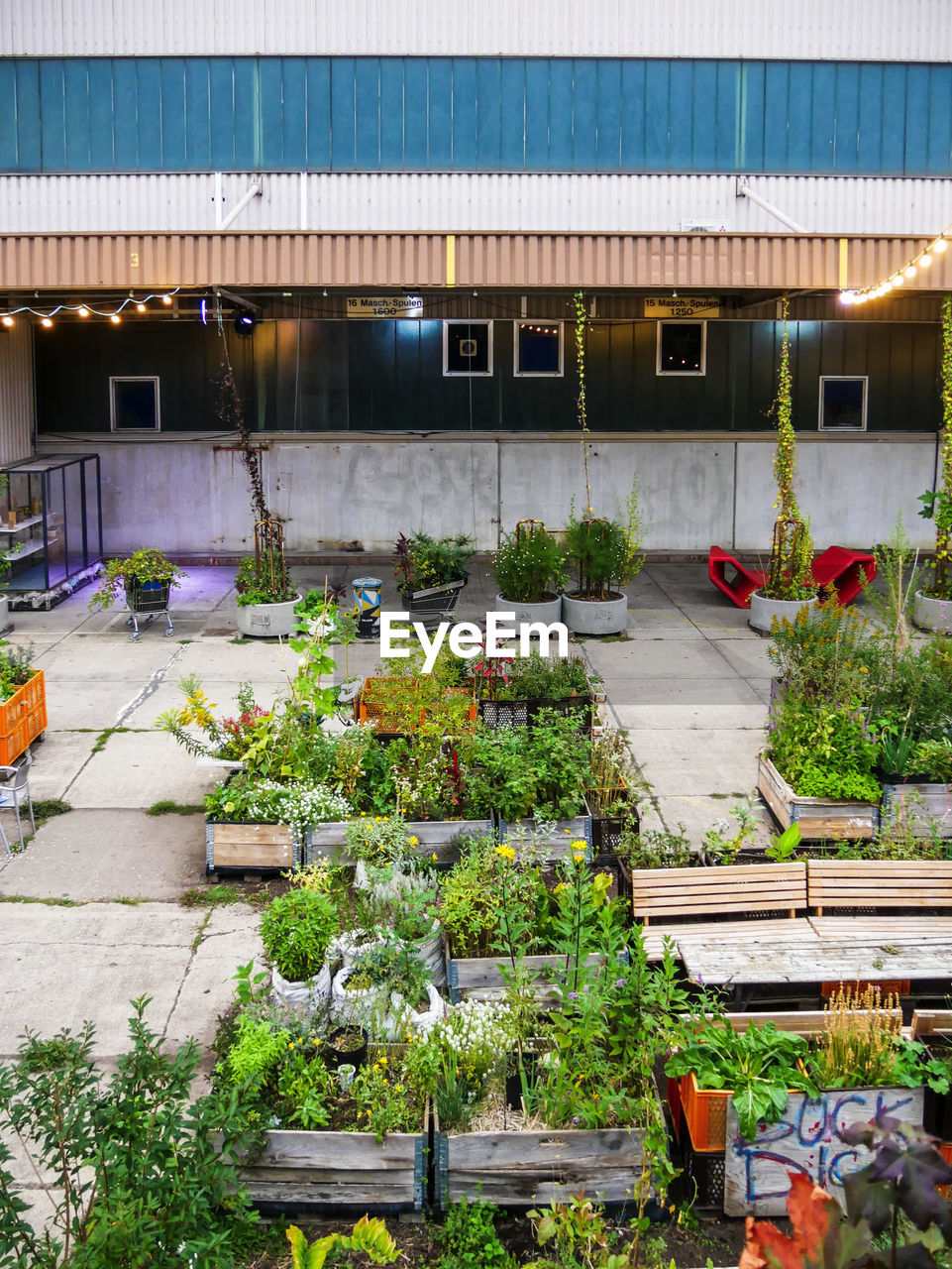 High angle view of potted plants growing building at greenhouse