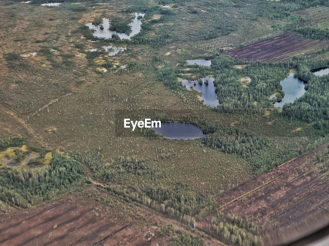 HIGH ANGLE VIEW OF LAKE WITH RICE IN BACKGROUND
