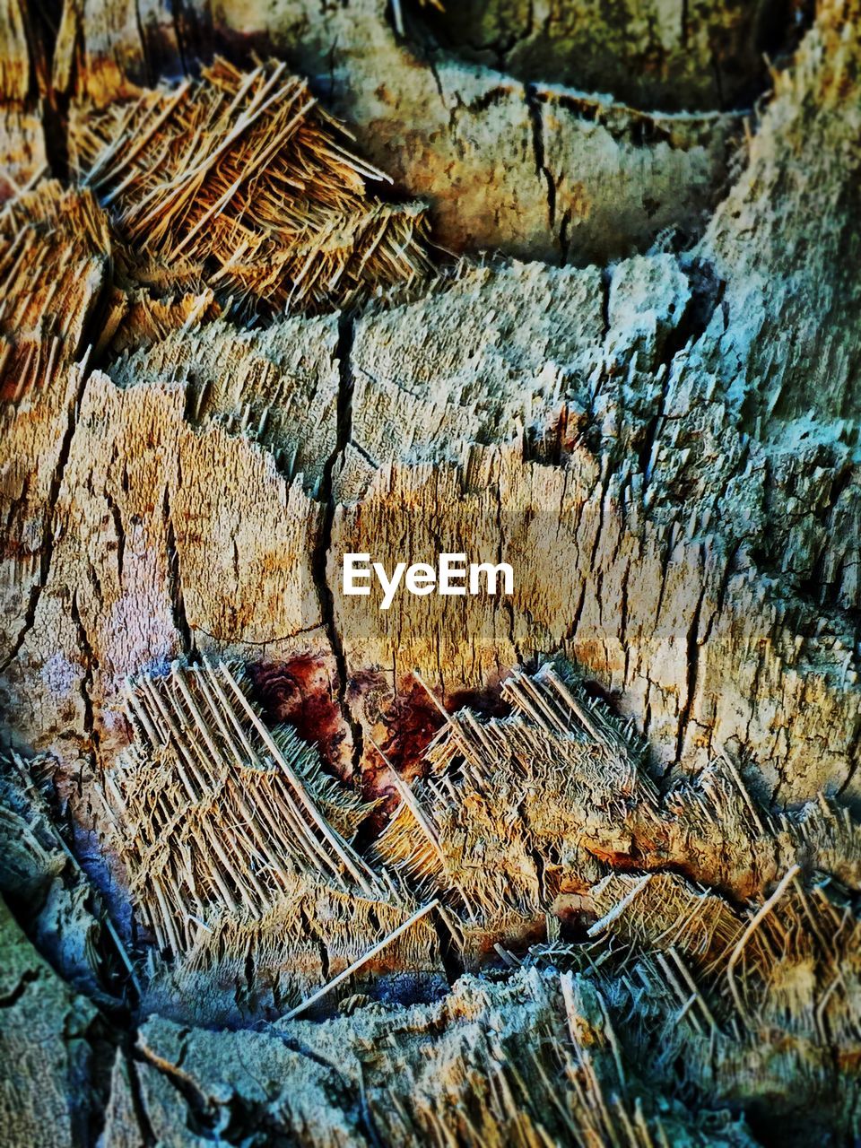 FULL FRAME SHOT OF TREE STUMP