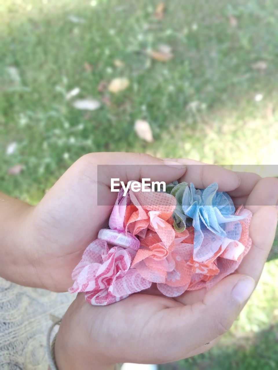 CLOSE-UP OF HAND HOLDING PINK ROSE