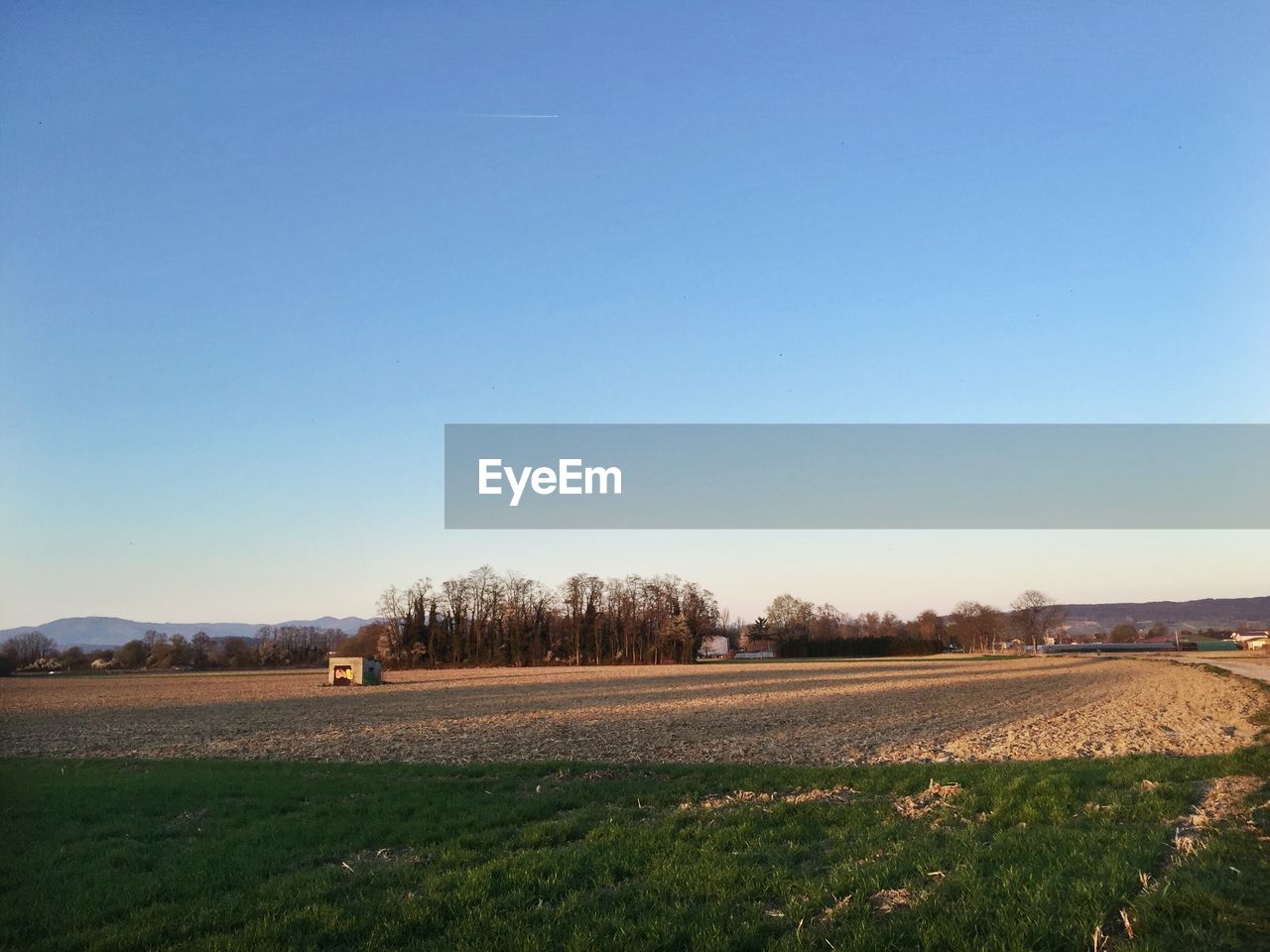 Scenic view of field against clear blue sky