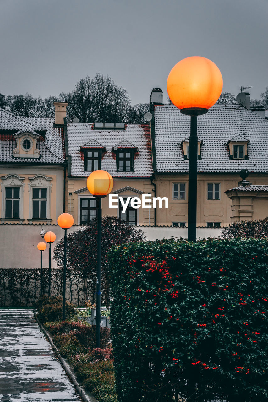 Street lights and trees against buildings