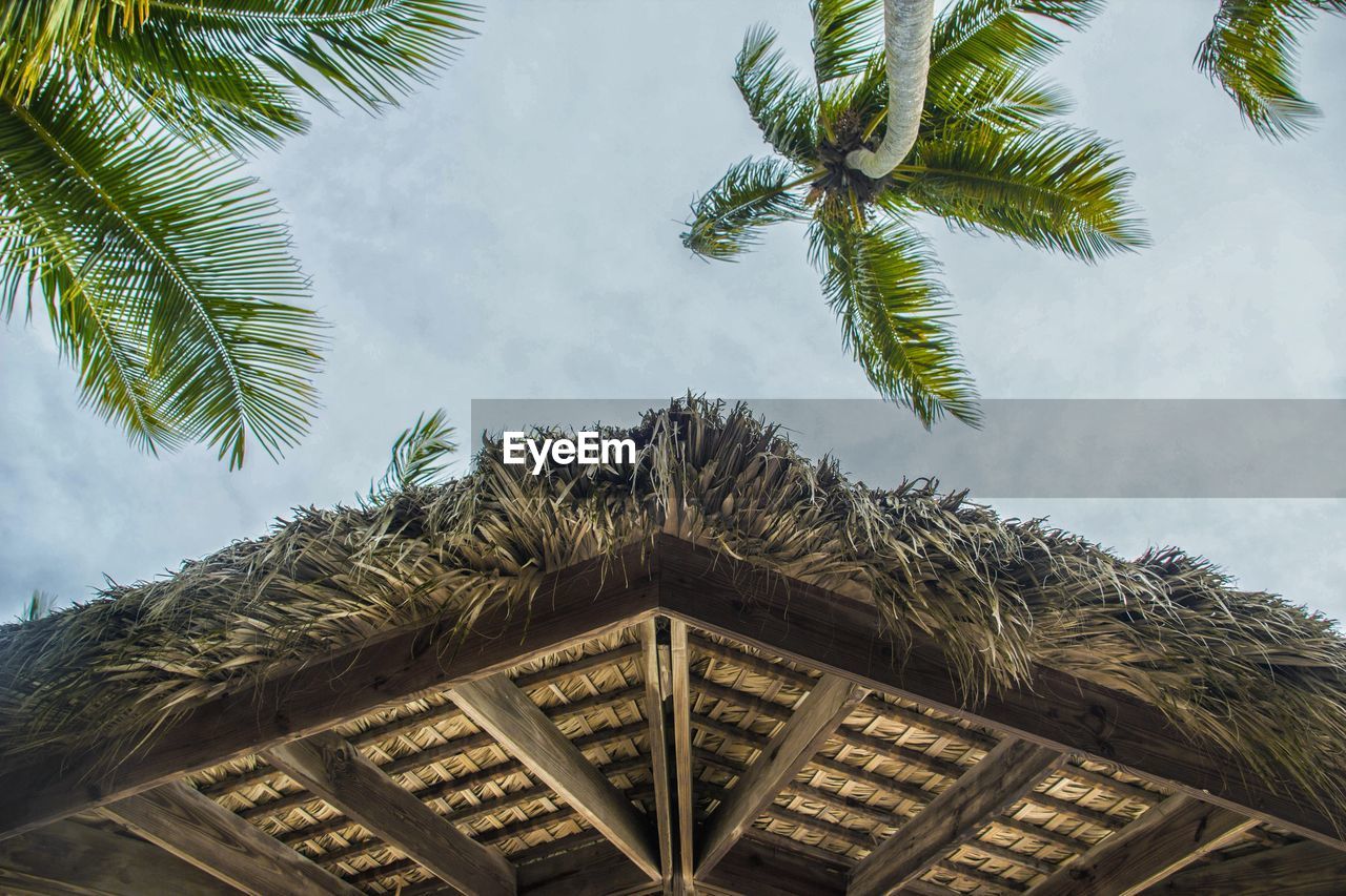 Low angle view of roof by palm trees against sky