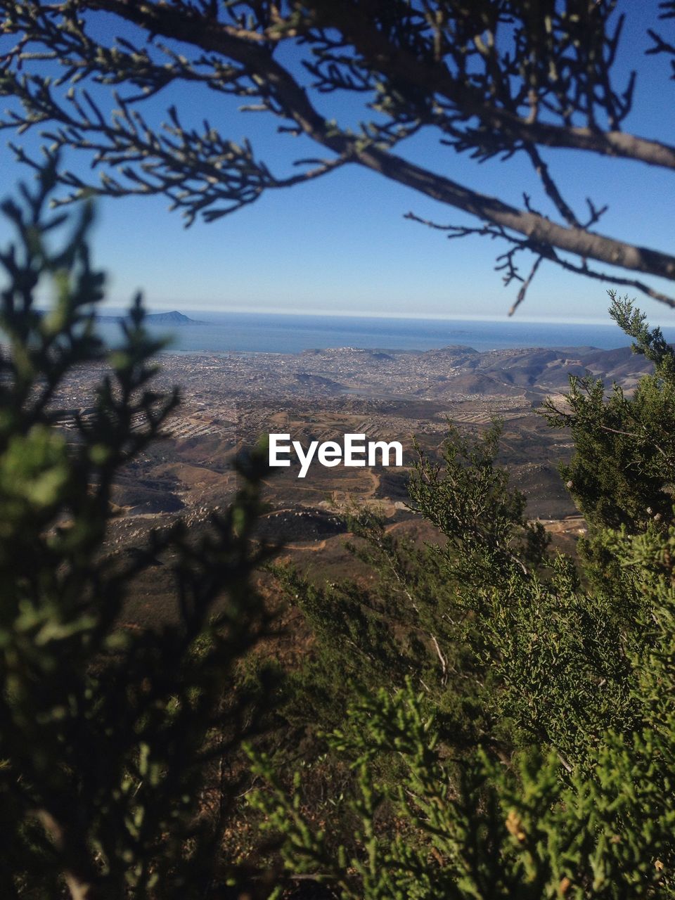 High angle view of landscape against clear sky seen through plants