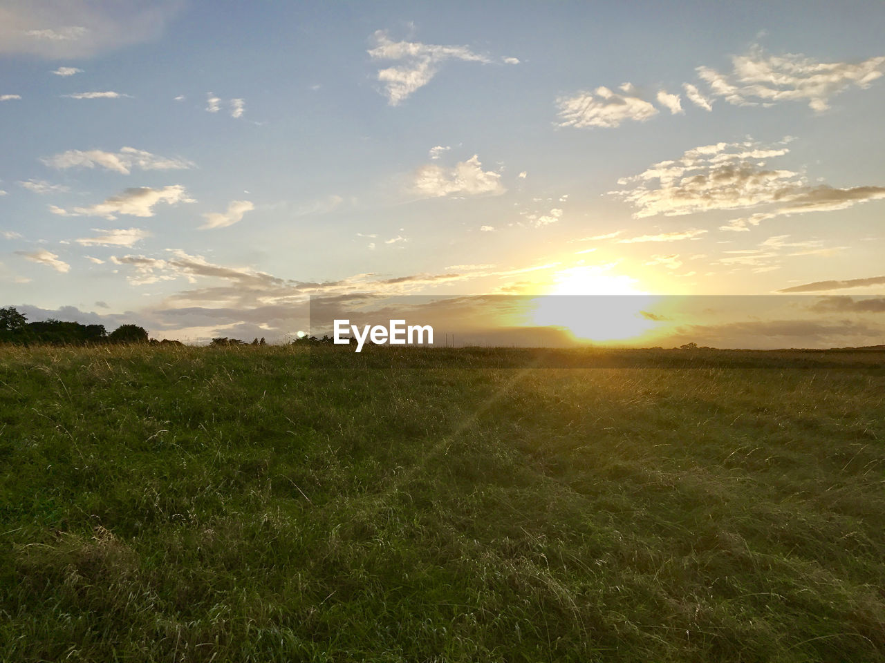 SCENIC VIEW OF GRASSY FIELD AGAINST SKY AT SUNSET