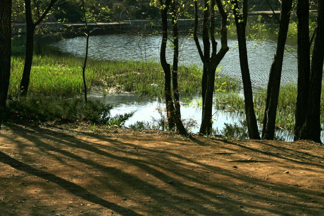 SCENIC VIEW OF RIVER AGAINST SKY