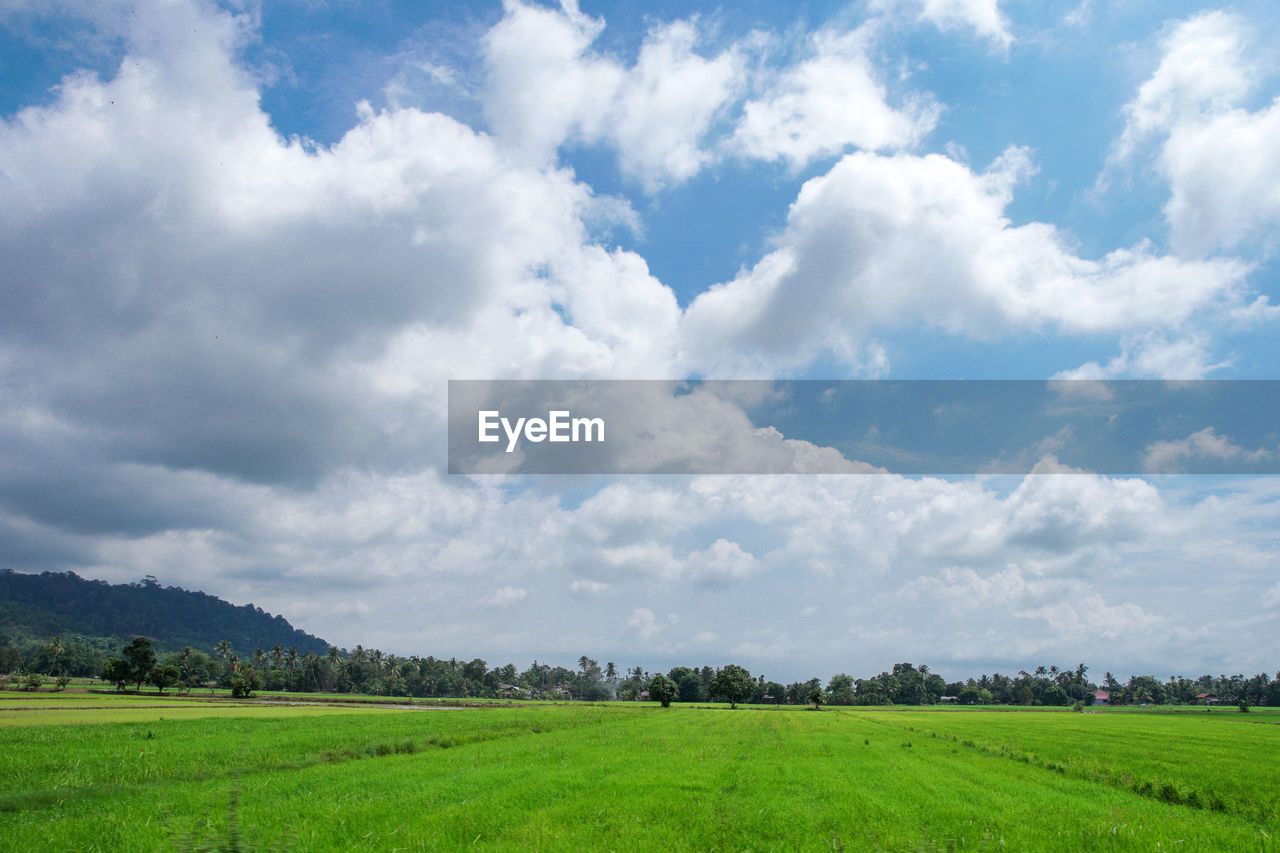 SCENIC VIEW OF FARM AGAINST SKY