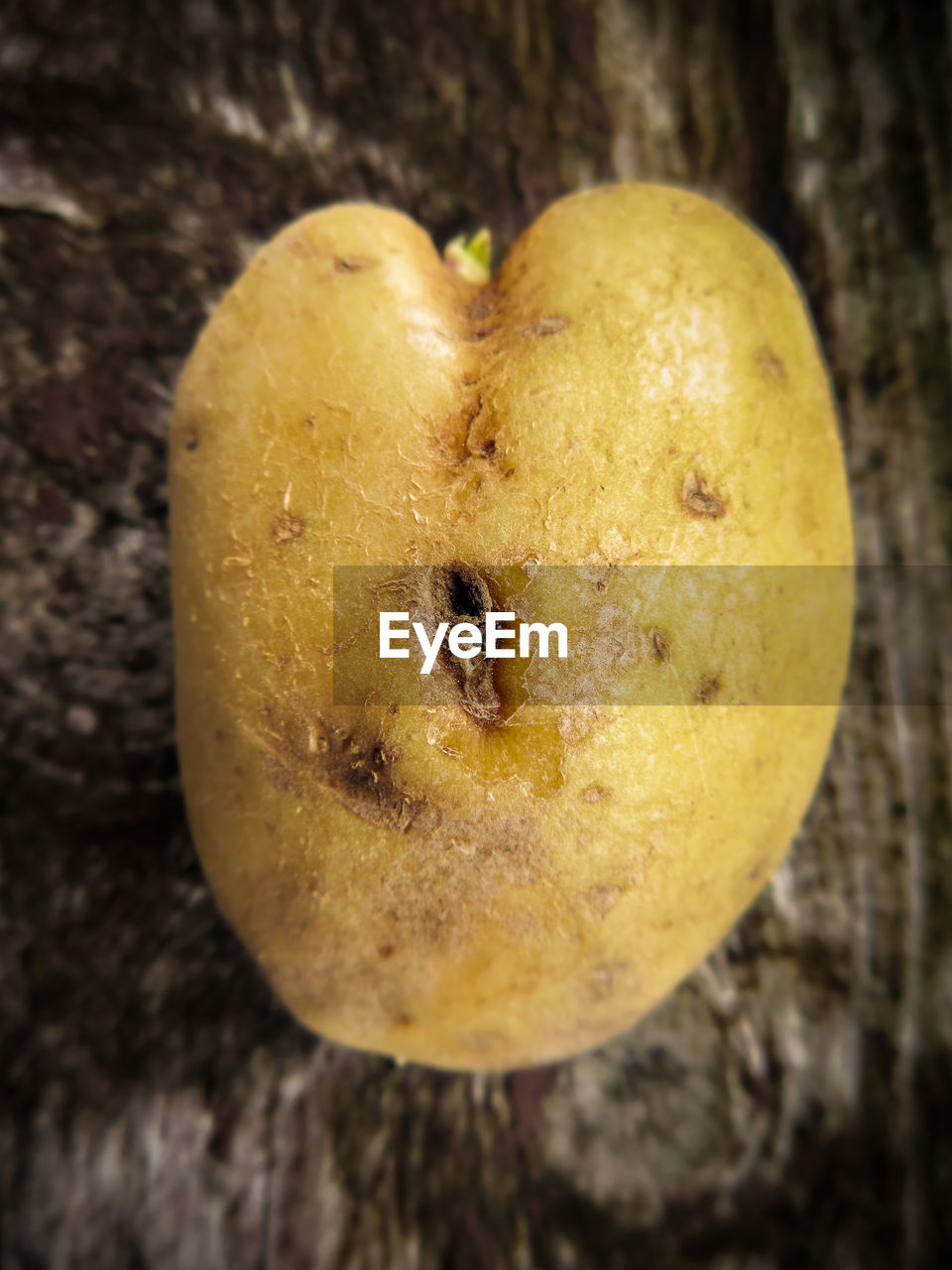 HIGH ANGLE VIEW OF HEART SHAPE ON APPLE