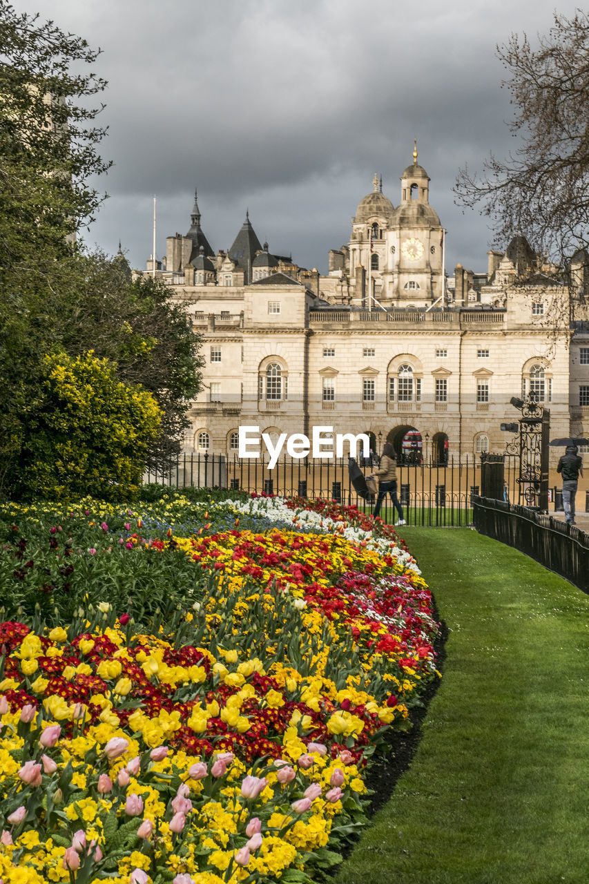 Colorful flowerbed with household division carity in background