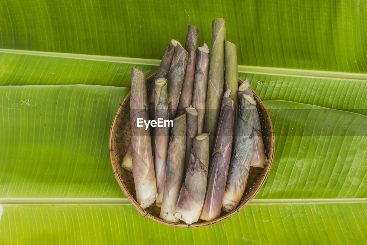 A handful of wild bamboo shoots are in the basket.
