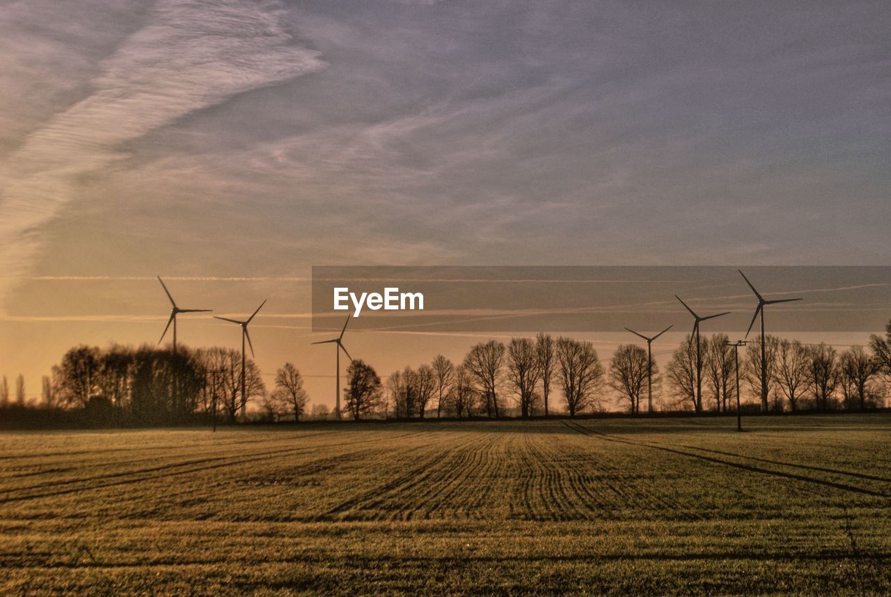 Scenic view of grassy field against sky during sunset