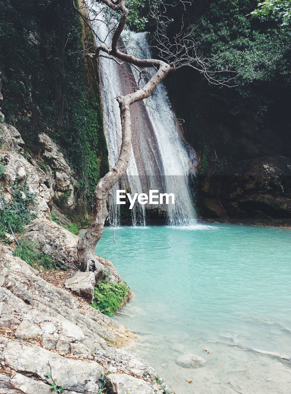 View of waterfall along plants with stream in foreground