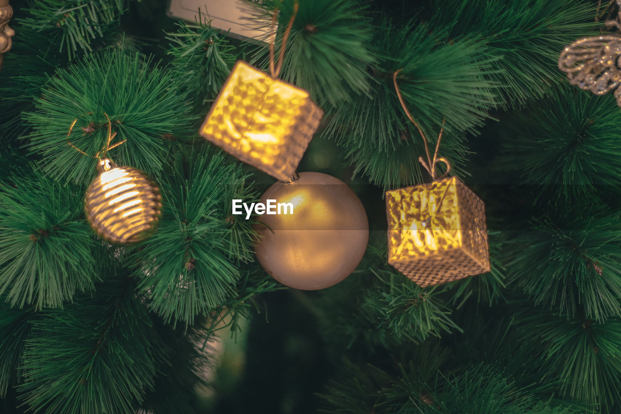 Close-up of christmas decorations hanging on tree