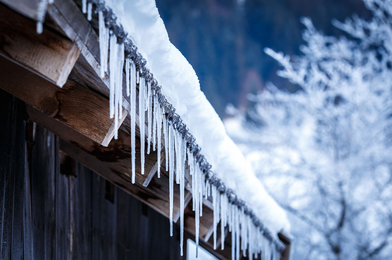 Icicles hanging from the roof of the house.