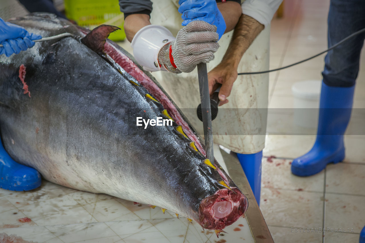 LOW SECTION OF MAN WORKING ON FISH AT SHORE