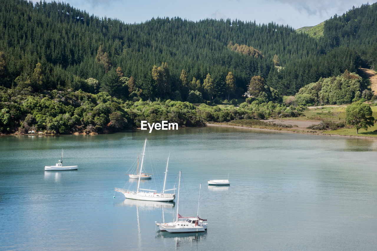 SCENIC VIEW OF SEA BY TREES