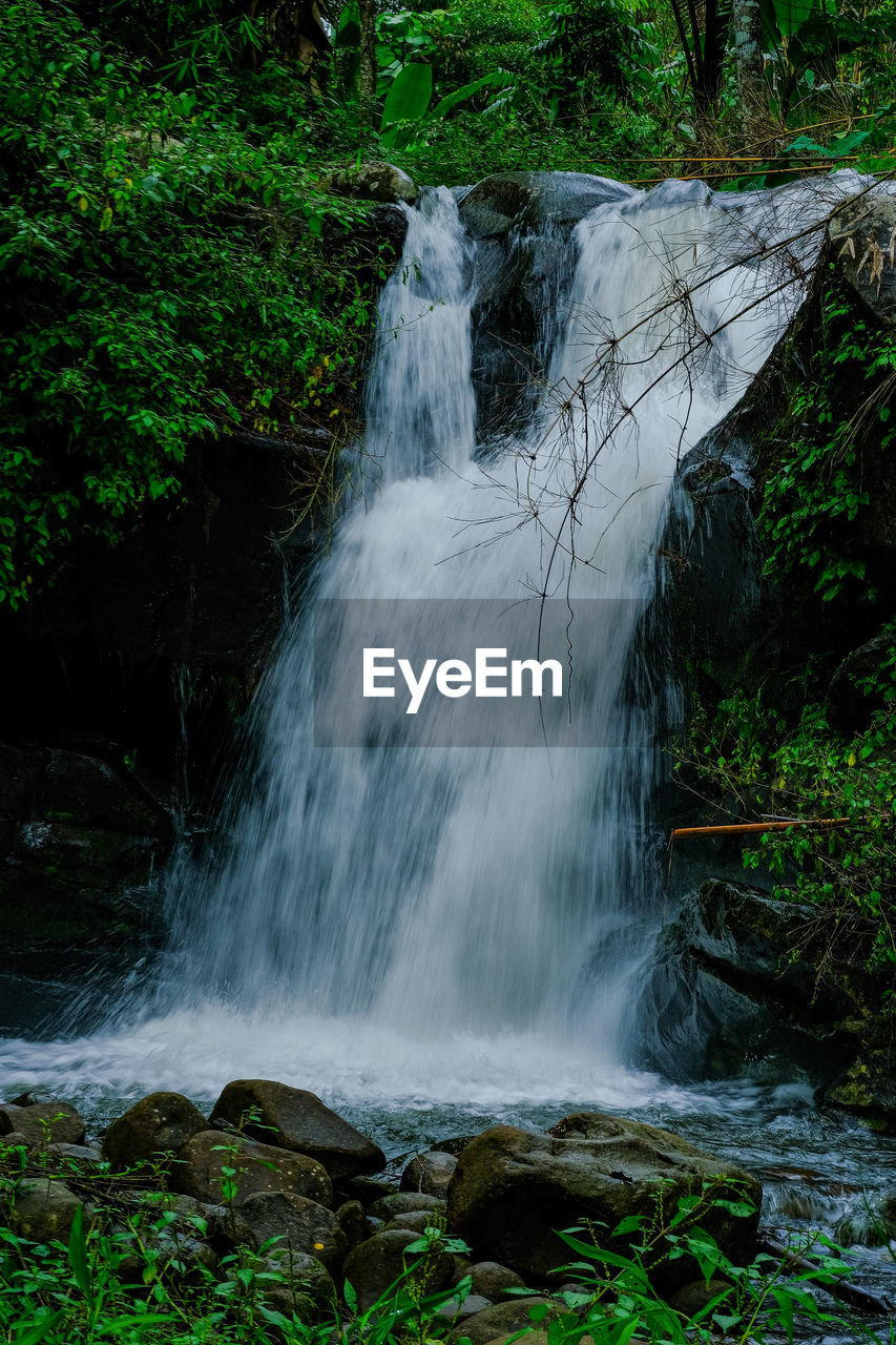 WATERFALL IN FOREST