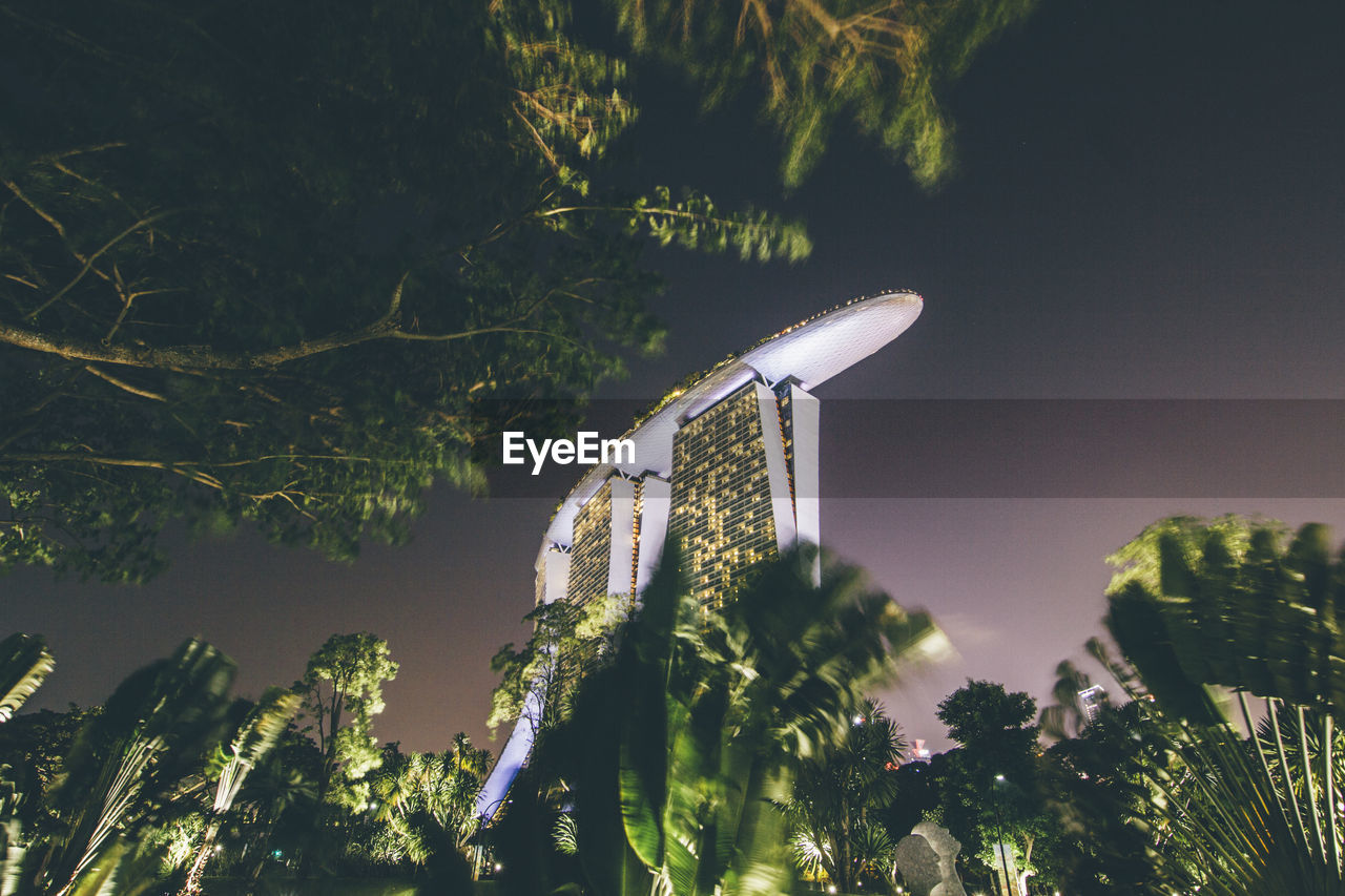 LOW ANGLE VIEW OF TREE AGAINST SKY